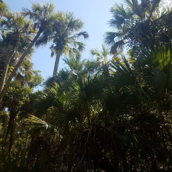Alexander Springs - Campgrounds Near Me - Altoona, Florida Alexander Springs - Campgrounds Near Me - Altoona, Florida