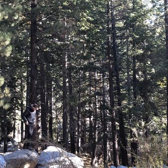 Whitney Portal Campground - Hiking Near Me - Lone Pine, California Whitney Portal Campground - Hiking Near Me - Lone Pine, California