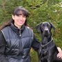 Photo of Gray-New Gloucester Animal Hospital