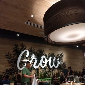 True Food Kitchen - New American Near Me - Boca Raton, Florida