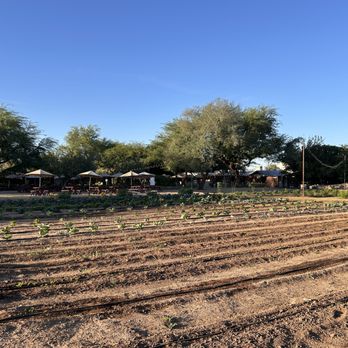 The Farm At South Mountain - Farms Near Me - Phoenix, Arizona The Farm At South Mountain - Farms Near Me - Phoenix, Arizona