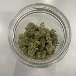 Pure Roots - GMO "relief" Strain