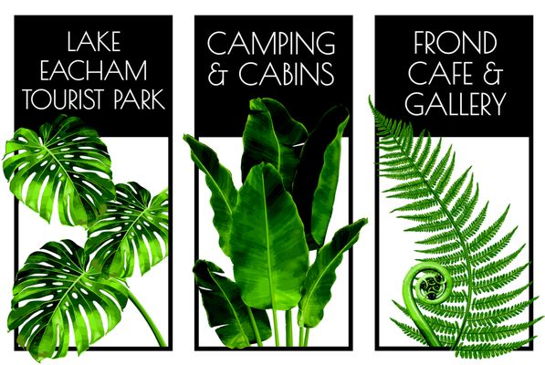 Lake Eacham Tourist Park by null