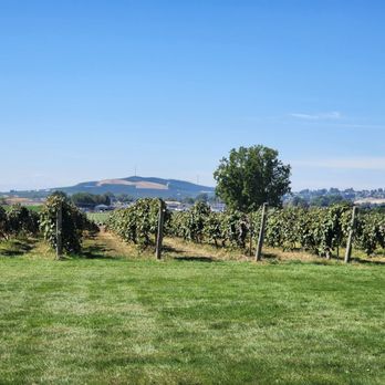 Best Western Plus Grapevine Inn - Hotels Near Me - Sunnyside, Washington