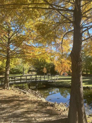 Clark Gardens by null