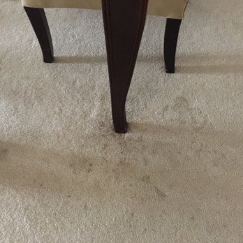 Palmetto Vacation Rentals, Myrtle Beach - Stained carpet - Vacation Rentals Near Me - Myrtle Beach, South Carolina Palmetto Vacation Rentals, Myrtle Beach - Stained carpet - Vacation Rentals Near Me - Myrtle Beach, South Carolina