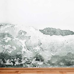 Reconstruction Mold Remediation