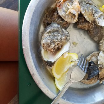 Pop's Sunset Grill - Oysters, we were hungry so forgot pic - Seafood Near Me - Nokomis, Florida