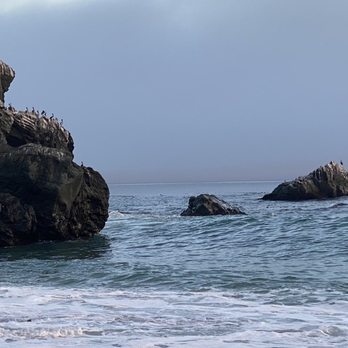 Limekiln State Park - Flocks of birds and otters hang out just offshore - Campgrounds Near Me - Big Sur, California