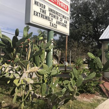 TacoSon - Mexican cacti at TacoSon Authentic Mexican Grill, N 56th St, East Tampa - Mexican Near Me - Tampa, Florida TacoSon - Mexican cacti at TacoSon Authentic Mexican Grill, N 56th St, East Tampa - Mexican Near Me - Tampa, Florida