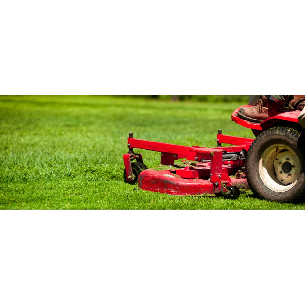 GREENER ALTERNATIVE Updated September 2024 13 Photos 14435