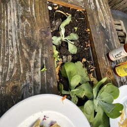 The tables that you eat off off. Basically a dirt table. The tables that you eat off off. Basically a dirt table.