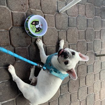 Crazy About You - Melo enjoying his time at Crazy About You! - Mediterranean Near Me - Miami, Florida Crazy About You - Melo enjoying his time at Crazy About You! - Mediterranean Near Me - Miami, Florida