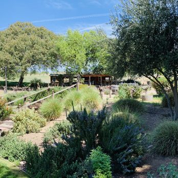 Still Waters Vineyards - Views - Wineries Near Me - Paso Robles, California