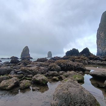 Inn at Haystack Rock - Hotels Near Me - Cannon Beach, Oregon