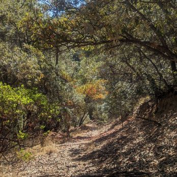 Ramsey Canyon Preserve - trail to overlook - Hiking Near Me - Hereford, Arizona