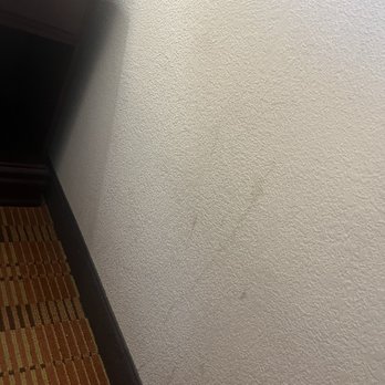 Hampton Inn Moss Point Pascagoula - Dirty Wall next to bed - Hotels Near Me - Moss Point, Mississippi Hampton Inn Moss Point Pascagoula - Dirty Wall next to bed - Hotels Near Me - Moss Point, Mississippi