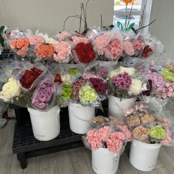 My Flower Stand - Florists Near Me - Hollywood, Florida