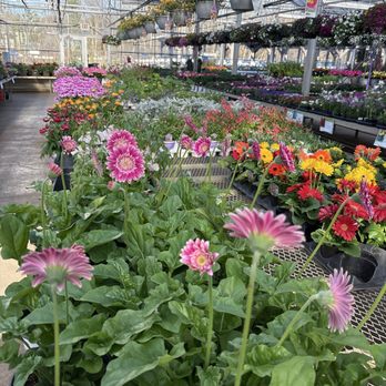 Bachman's Maplewood - Nurseries & Gardening Near Me - Maplewood, Minnesota
