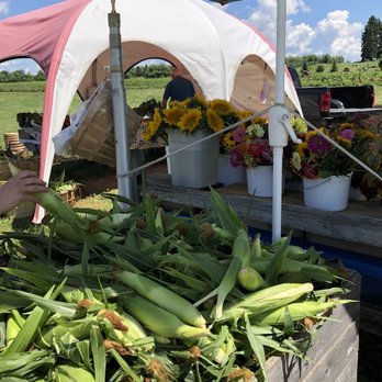 Altonen Orchards - Corn. Corn. Corn. That is dinner tonight! - Farmers Market Near Me - Williamsburg, Michigan