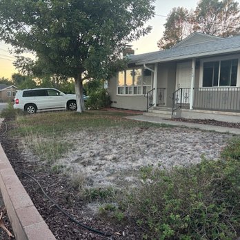 Infinite Sky Landscape Design - BEFORE Front yard - Landscape Architects or Designers Near Me