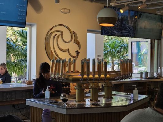 Cove Brewery | Craft Beers Deerfield Beach, FL by null