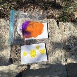 New Braunfels Public Library - Brandy's masterpiece