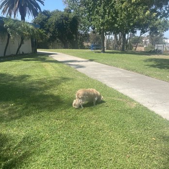 MacArthur Park - Balmy breeze tday @ MacArthur Park - Parks Near Me - La Mesa, California MacArthur Park - Balmy breeze tday @ MacArthur Park - Parks Near Me - La Mesa, California