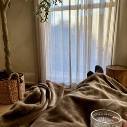 The Head Spa Sanctuary