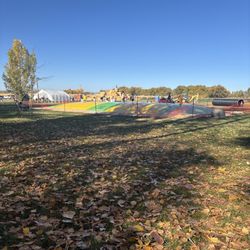 Little Bear Bottoms - Giant jump pad