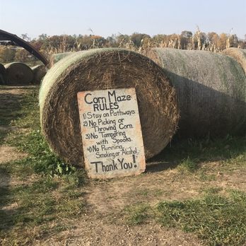 Kroul Farm - Corn maze rules - Farmers Market Near Me - Mount Vernon, Iowa