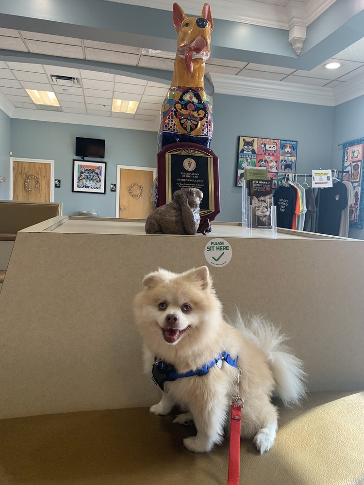 Orchid Springs Animal Hospital Image