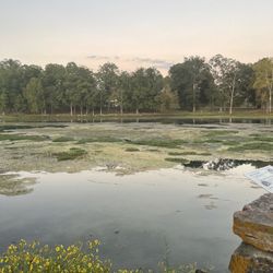Mammoth Spring State Park - Mammoth Spring view