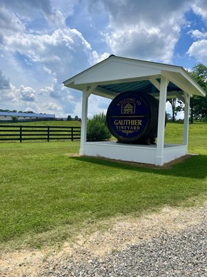 Gauthier Vineyard by null