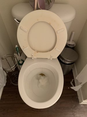 Standard Bathroom Cleaning - Maid Service
Standard Bathroom Cleaning Standard Bathroom Cleaning - Maid Service
Standard Bathroom Cleaning