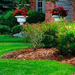 OCD Lawn Care