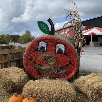 BJ Reece Orchards - Fruits & Veggies Near Me - Ellijay, Georgia