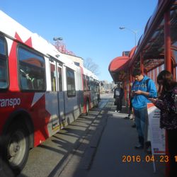 OC Transpo - OCTranspo invested in buses that "kneel" in order to help elderly and less able persons to enter the bus.  BUT FIRST YOU JUMP THE 3ft GAP !