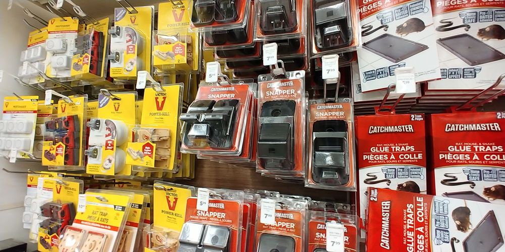 CANADIAN TIRE 43 Photos & 27 Reviews 6312200th Street, Langley