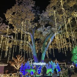 Downtown City Park