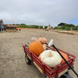 Farmer John's Pumpkin Farm