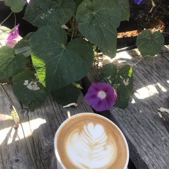 Devout Coffee - A view from outside - Coffee Roasteries Near Me - Fremont, California Devout Coffee - A view from outside - Coffee Roasteries Near Me - Fremont, California