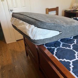Cushions from sofa Cushions from sofa