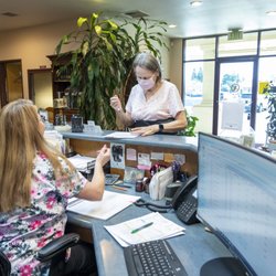Shows Chiropractic