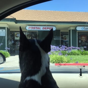 Postal Depot - Even my dog Walter loves Postal Depot Notary. - Notaries Near Me - Encinitas, California