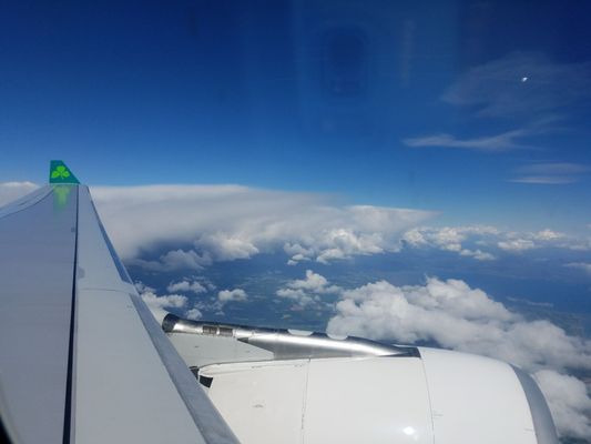 Aer Lingus by null