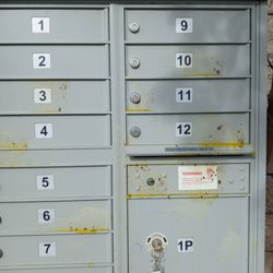 US Post Office - Kirby/Whispering Bells
Yellow liquid freshly dripping down box.