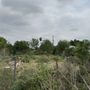 Photo of Jireh Tree & Lanscaping Services