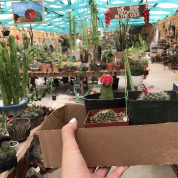 B & B Cactus Farm - Nurseries & Gardening Near Me - Tucson, Arizona