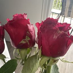 Spots on the roses
